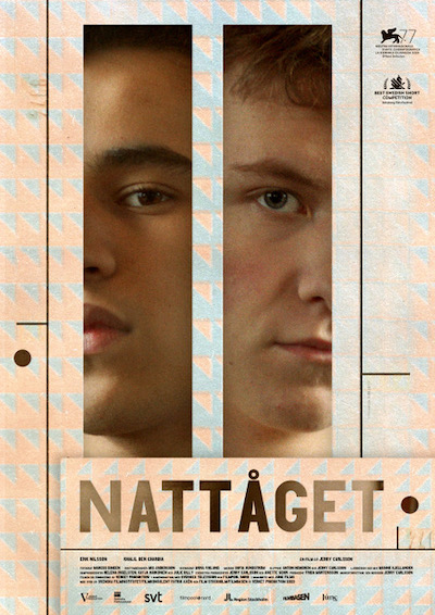 Poster The Night Train